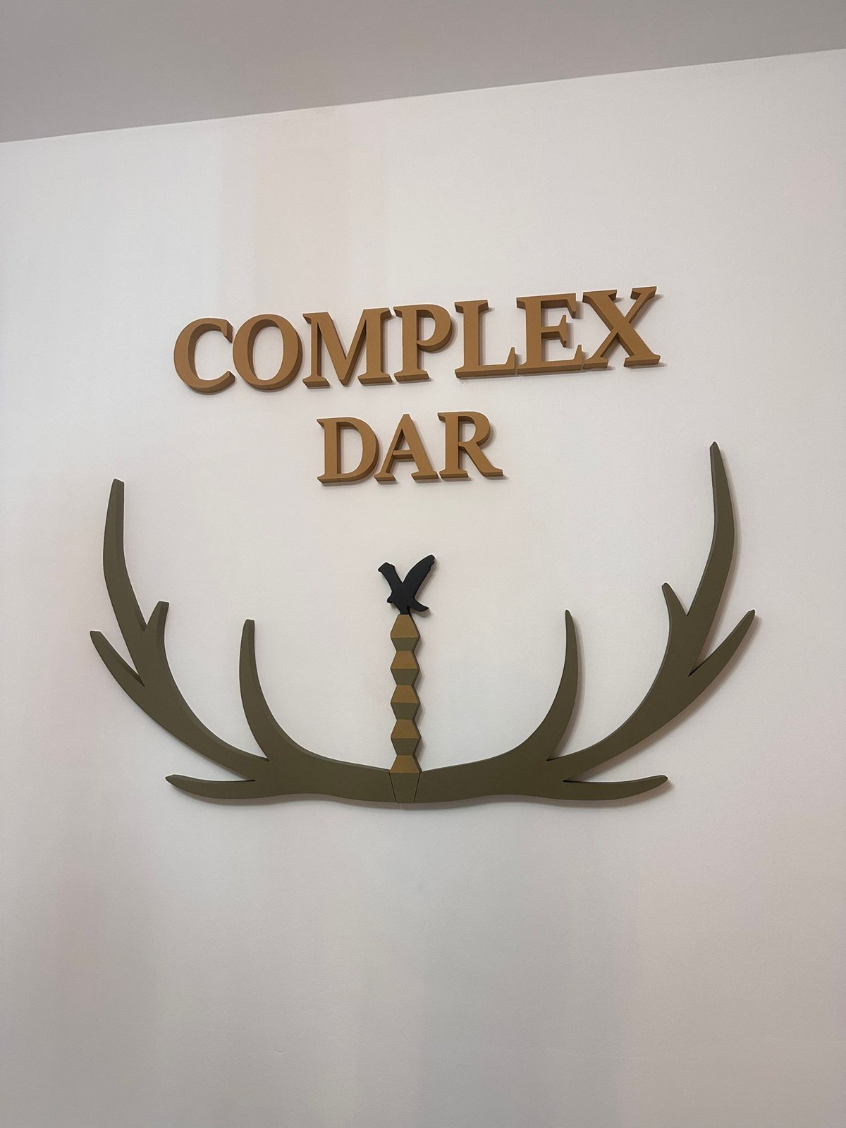 Complex Dar — logo și litere aurii